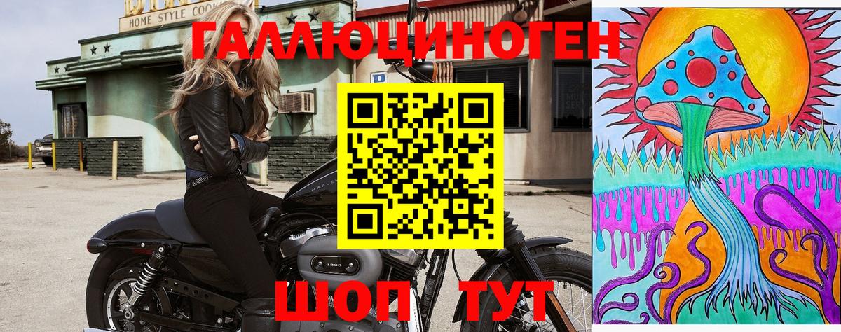 Туапсе  купить закладку  Вход с VPN  Галлюциногенные грибы Psilocybe 